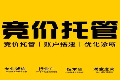 某公司信息流广告的精准投放与效果评估